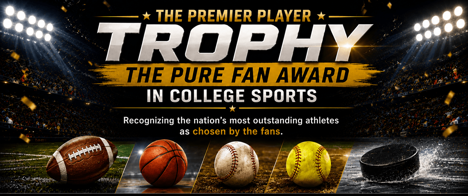 Premier Players Sports Foundation banner